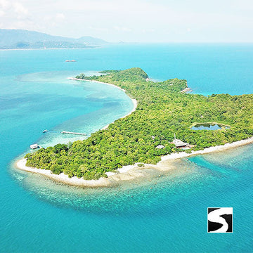 Pig Island Schweine Insel Schnorcheln Koh Mudsum Ausflüge